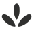 fyllo-1